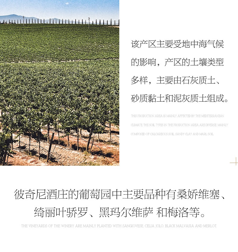 地中海氣候與土壤